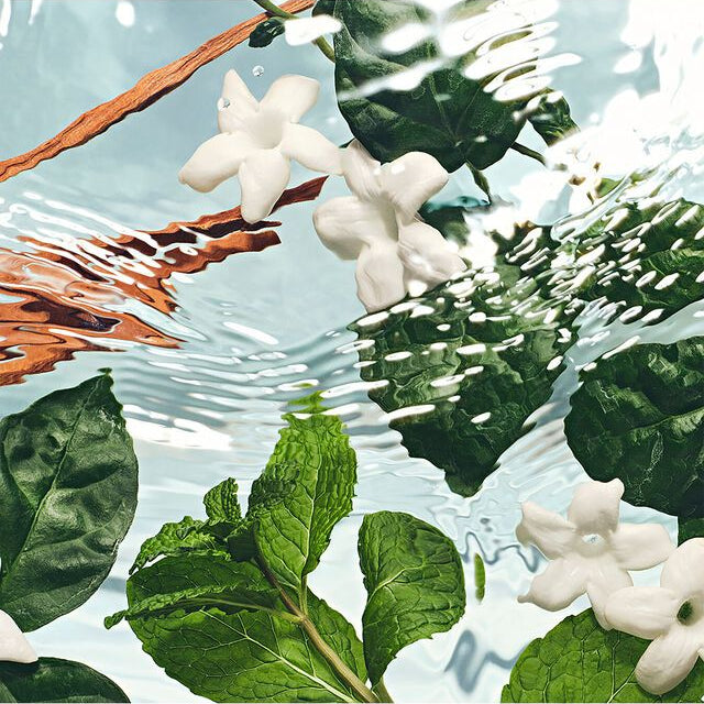 Aromatic Fresh